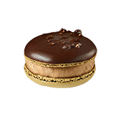[108003] Chocolate Macaron /Frozen/