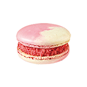 [108004] Strawberry Yogurt Macaron /Frozen/